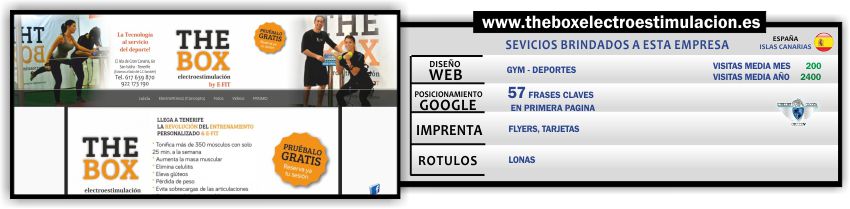 diseno-paginas-web-tenerife-canarias-the-box-electroestimulacion-gym-sitio-web-internet-global-security-www-internetglobalsecurity-espana-tenerife-hosting-server